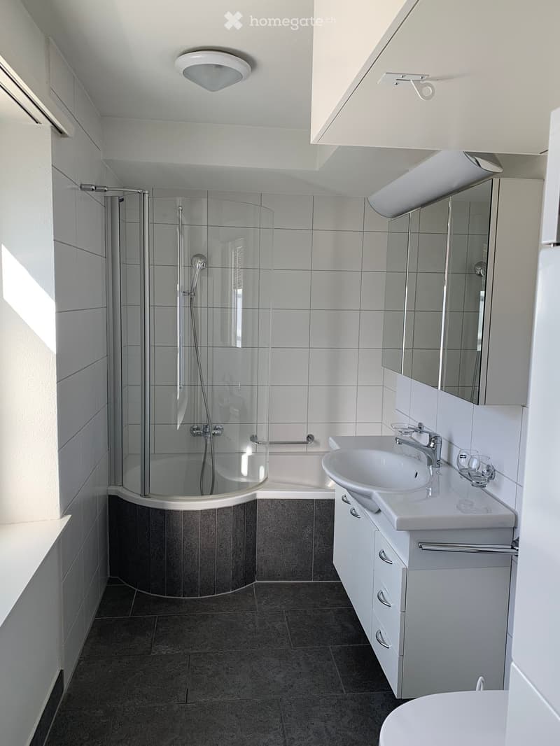 Modern bathroom with white tiles, a corner shower, a sink with a mirror, and built-in cabinets.