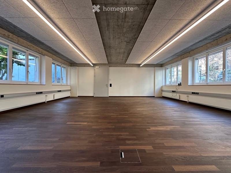 empty room, wooden floor, white walls, windows, ceiling lights