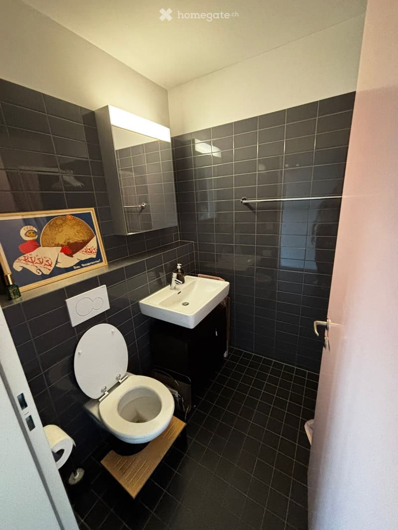 Modern bathroom with dark tiled walls and floor, white toilet, sink, and mirror. Includes a towel rack and a framed picture on the wall.