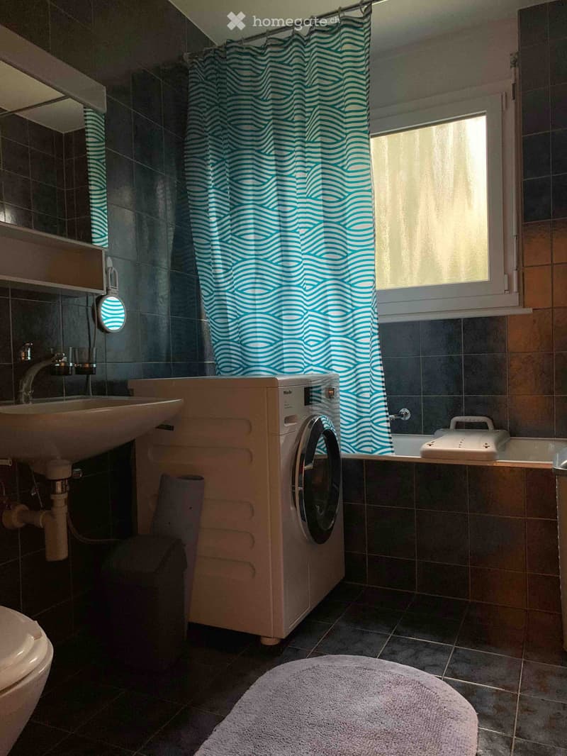 Bathroom with a sink, toilet, washing machine, bathtub, and shower curtain. Features dark tiled walls and a window letting in natural light.