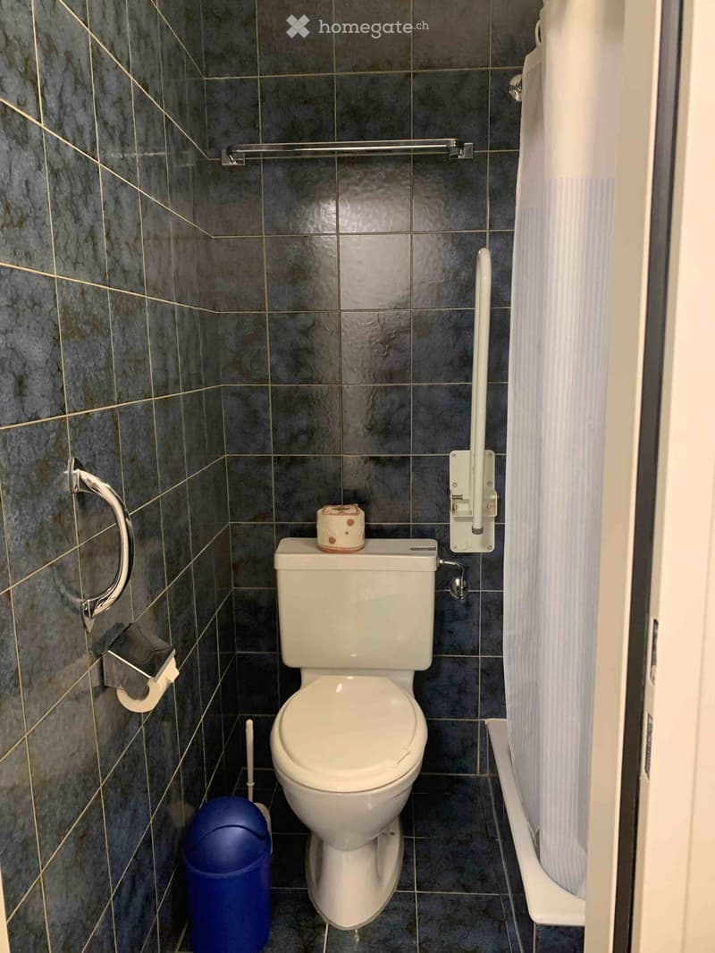A small bathroom with a toilet, toilet paper holder, handrail, trash can, and toilet brush. The walls are tiled in dark gray with a geometric pattern.