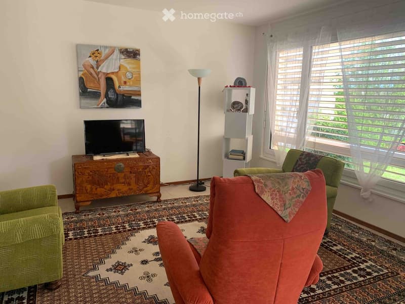 A cozy living room with a patterned rug, a red armchair, a green sofa, a wooden TV stand, a floor lamp, and a painting on the wall.