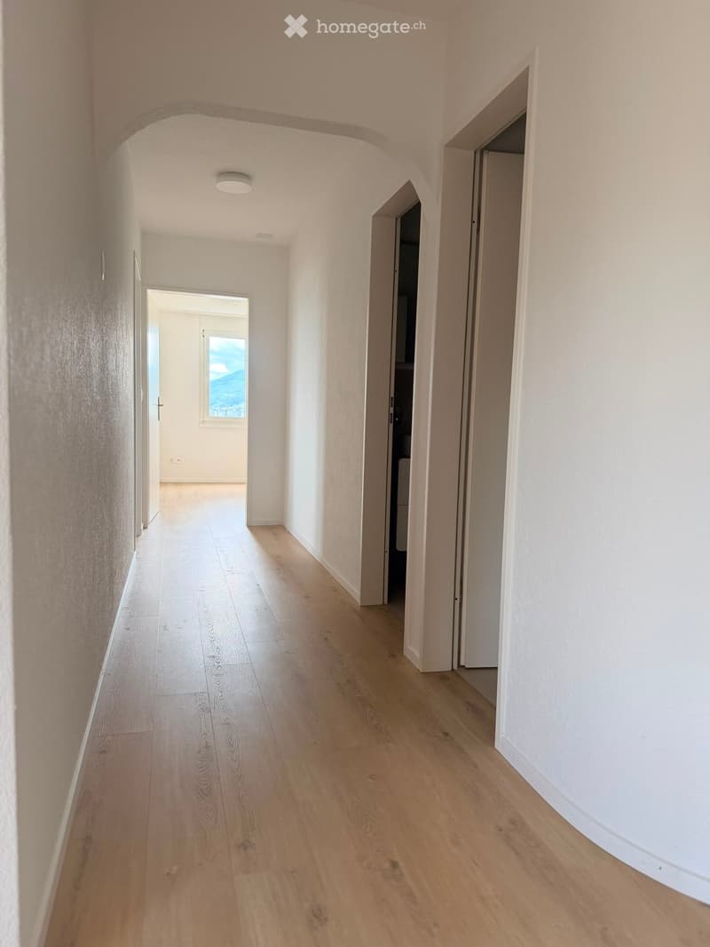 A long, narrow hallway with light wooden flooring and white walls. The hallway features several open doorways leading to other rooms, with a visible window at the far end offering a scenic view.