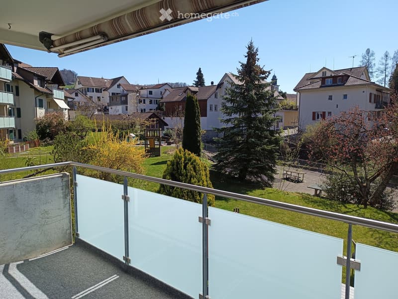 Balcony with glass panels and metal railing, overlooking a green park area with trees, benches, and residential houses in the background.