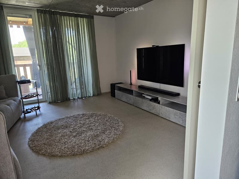 Modern living room with a grey sofa, coffee table, large flat-screen TV on a sleek entertainment unit, floor lamp, and a round shaggy rug on the floor.