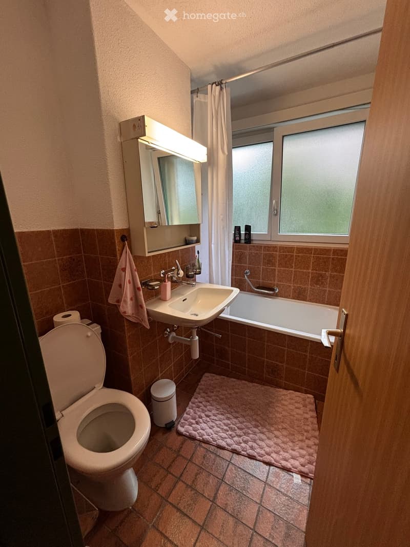 Bathroom with a toilet, sink, bathtub, mirror, towel, and a pink rug on the floor.