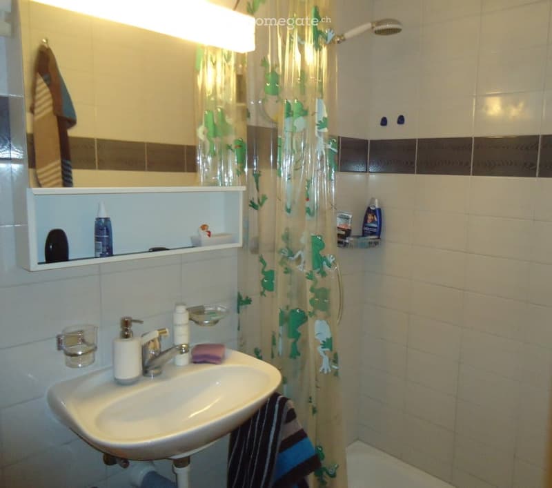 A small bathroom with a sink, mirror, and shower area. The shower curtain features green frog designs. The sink has a soap dispenser, toothpaste, and a toothbrush holder. A towel hangs on the side of the shower, and a small shelf holds shampoo and other t