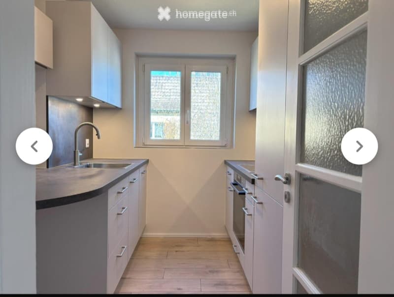 Modern kitchen with light-colored cabinets, stainless steel sink and faucet, and built-in oven. Features a large window with frosted glass panels.