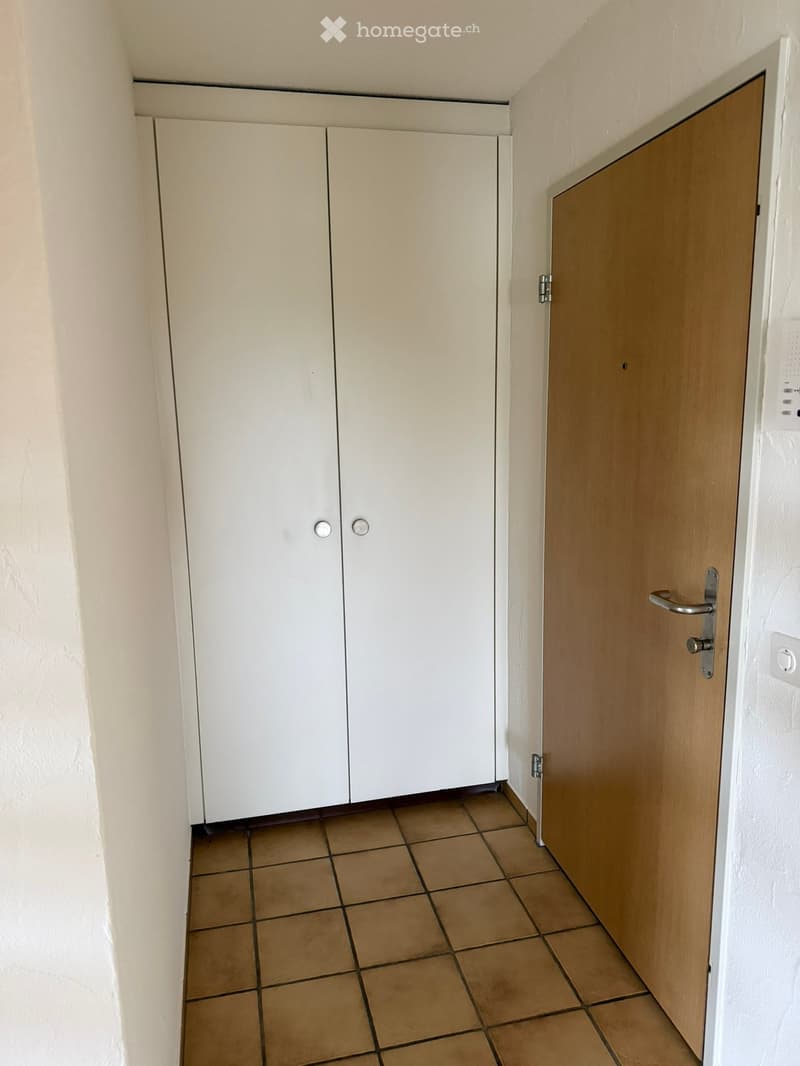 Empty hallway with tiled floor, white wall-mounted cabinets, and a wooden door.
