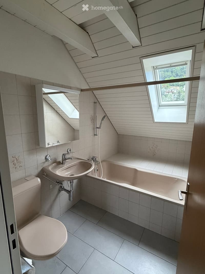Modern bathroom with a slanted wooden ceiling, large windows, a bathtub, a sink, and a toilet.