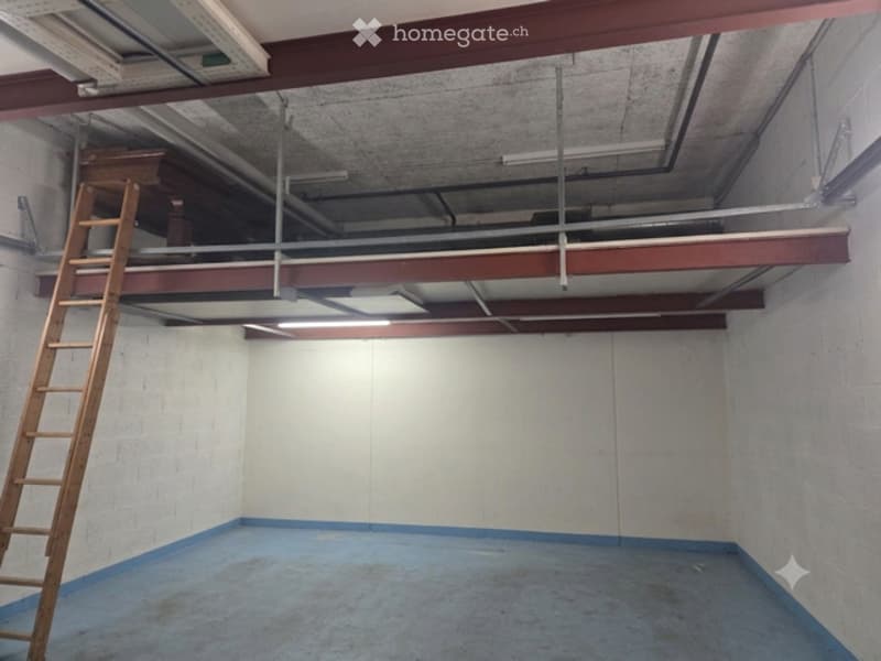 Empty room with concrete floor, white walls, exposed ceiling beams, and a wooden ladder leading to an upper level.