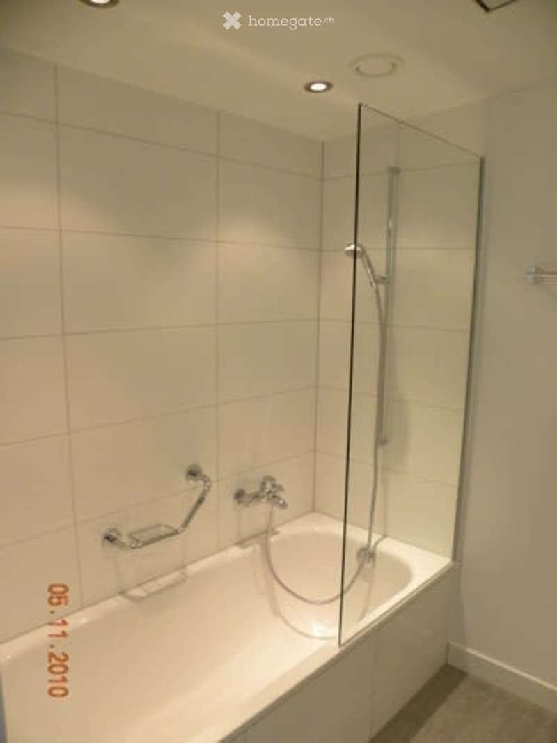 Modern bathroom with a white bathtub, glass shower enclosure, and a handrail for safety.