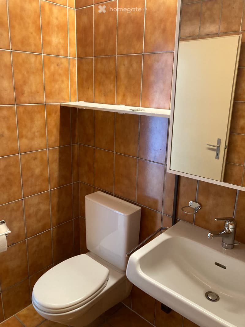 Charmante 3.5-Zimmer-Attikawohnung an der Bahnhofstrasse in Urdorf (8)
