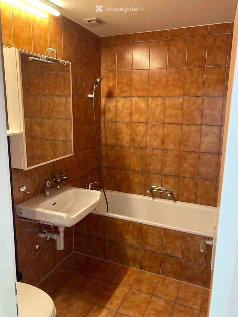 Charmante 3.5-Zimmer-Attikawohnung an der Bahnhofstrasse in Urdorf (7)