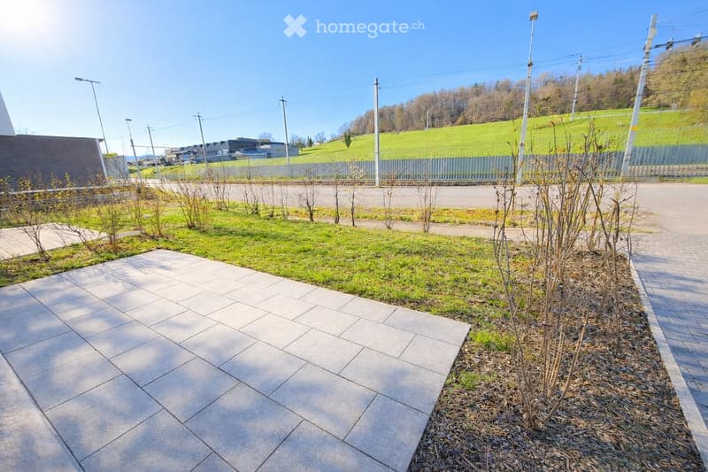 A paved outdoor area with a tiled walkway, small plants, and a grassy lawn, bordered by a fence and a road.