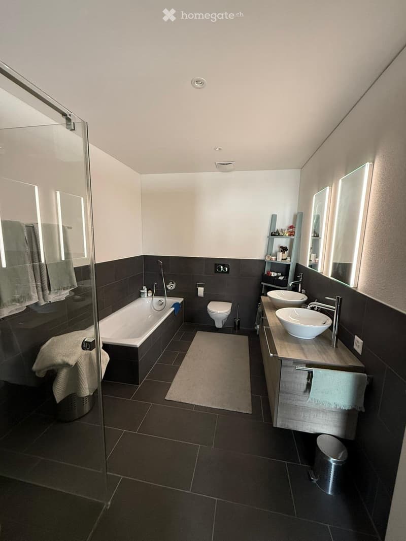 Modern bathroom with dark tiles, a bathtub, toilet, double sink, mirrored cabinet, and a glass-enclosed shower area.