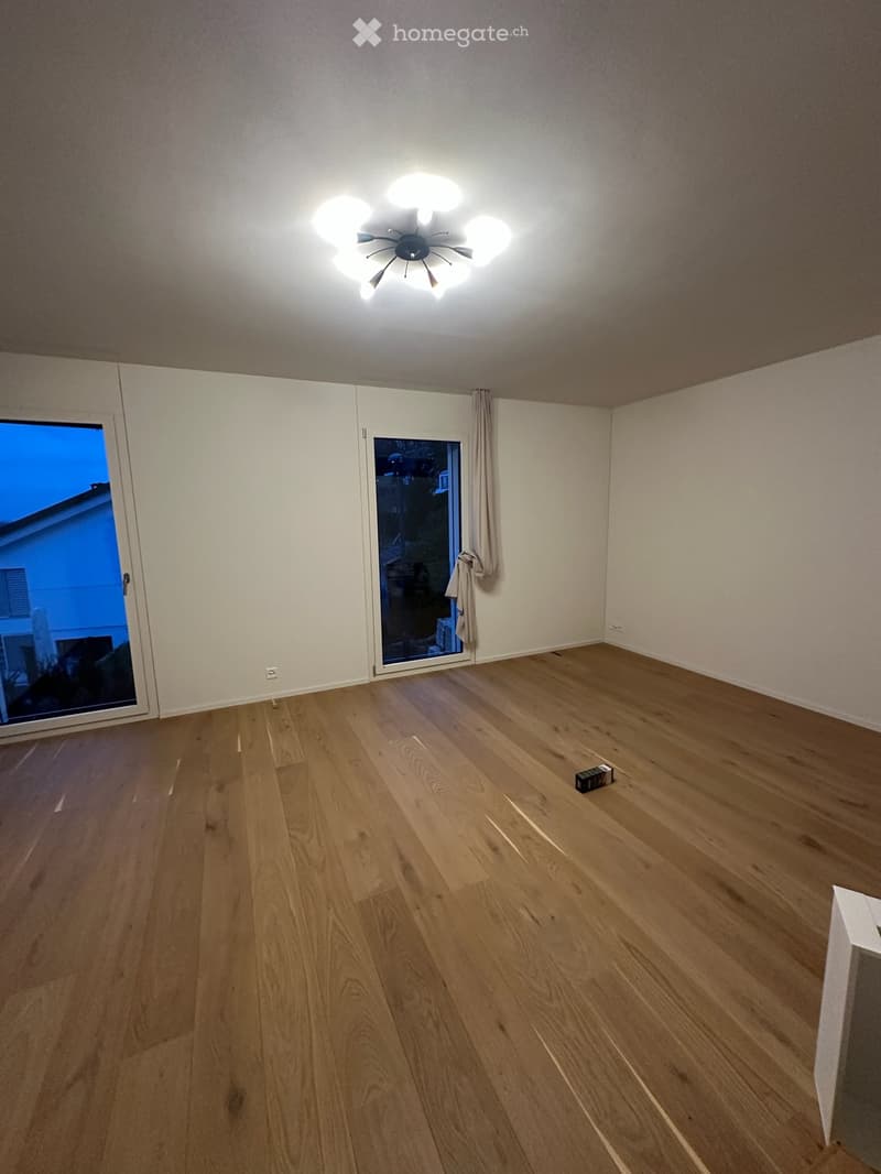 Empty room with wooden flooring, white walls, large windows, and a ceiling light fixture.