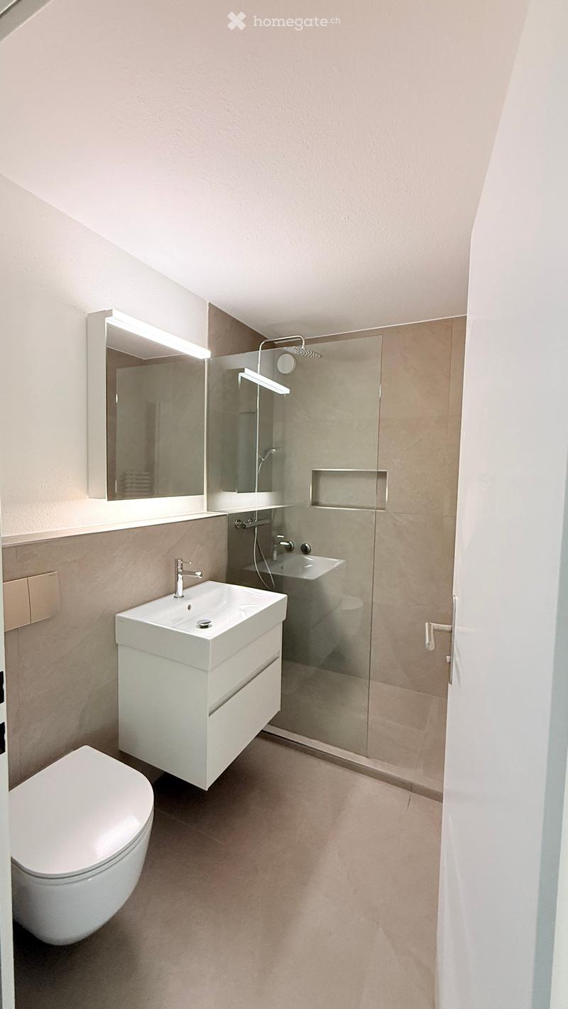 Modern bathroom with a white sink, toilet, and glass-enclosed shower area. Features a large mirror with built-in lighting and sleek, contemporary design.