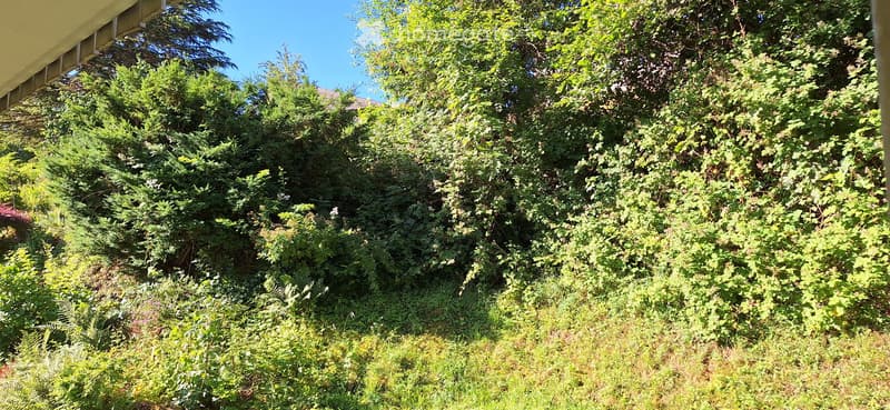 A lush, green garden area with dense foliage and trees, partially shaded by a yellow awning on the left side.