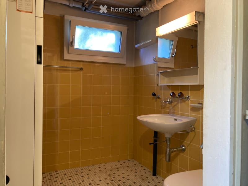 bathroom with sink, toilet, shower window, small mirror