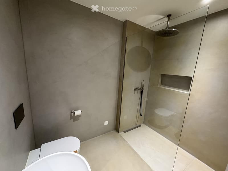 Modern bathroom with a glass-enclosed shower, a toilet, a sink, and a showerhead. The walls are painted in a neutral gray color, and the floor is tiled.