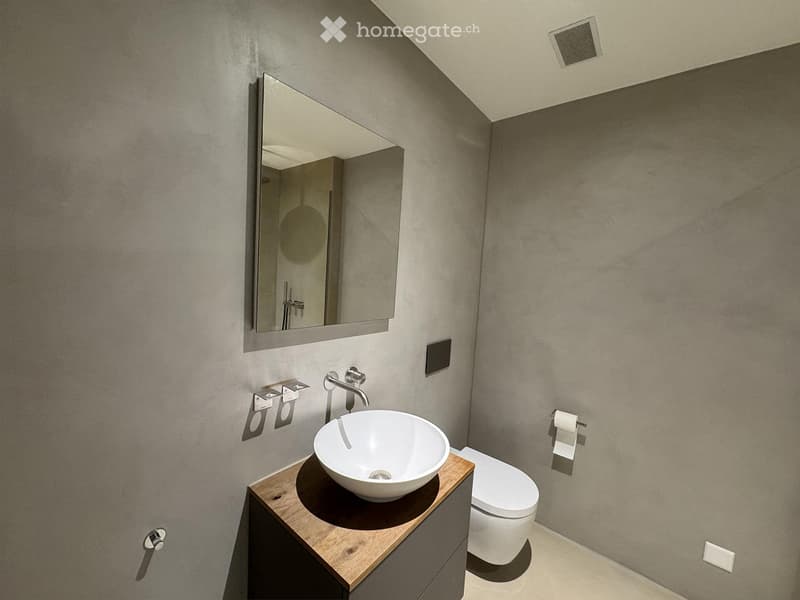 Modern bathroom with a sleek, minimalist design. Features a round sink on a wooden vanity, a large mirror, and a toilet. The walls are painted in a neutral gray tone, and the floor is light-colored.