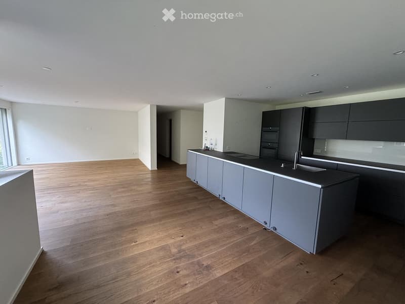 Open-plan kitchen and living area with wooden flooring, grey cabinetry, and a black countertop. The space is empty, with no furniture or appliances installed.