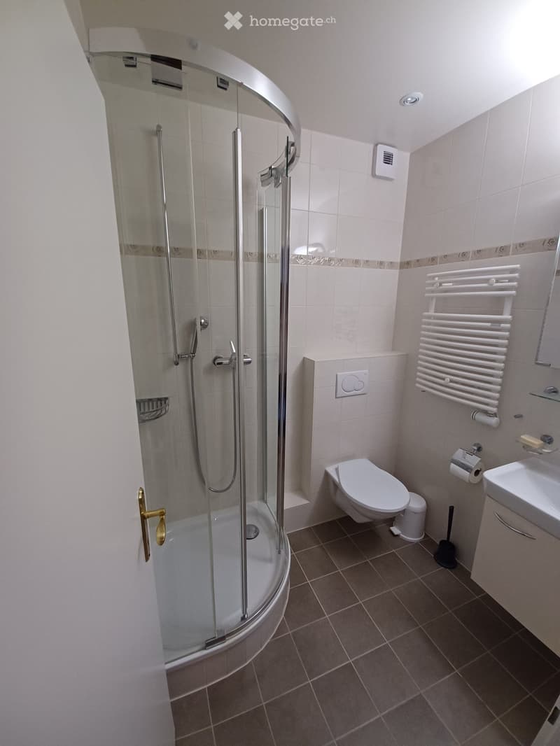 Modern bathroom with a bathtub, toilet, sink, and a radiator. Features a glass-enclosed shower area with a handheld showerhead and a built-in seat.