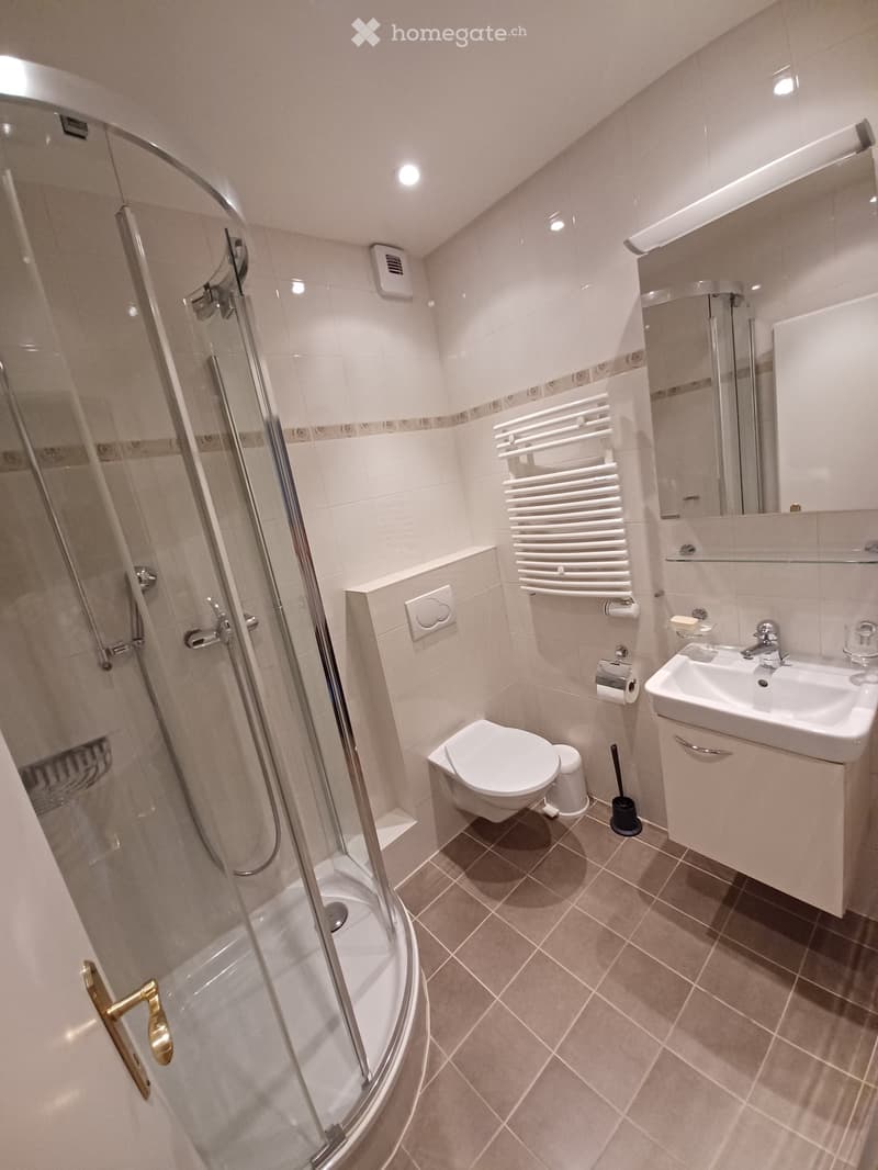 Modern bathroom with a glass-enclosed shower, toilet, sink with a mirrored cabinet, and a radiator. The space features beige tiles and a sleek design.