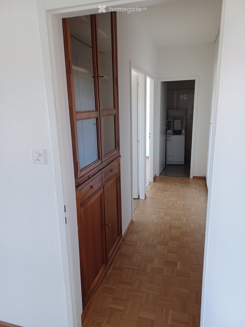 A narrow hallway with wooden herringbone flooring, white walls, and a built-in wooden cabinet with glass doors on the left side. A doorway leads to a room with a washing machine visible in the background.