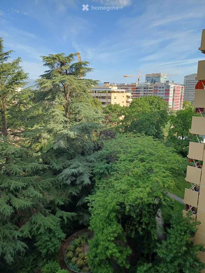 A lush green garden with tall trees and a pathway, with apartment buildings and a construction crane visible in the background.