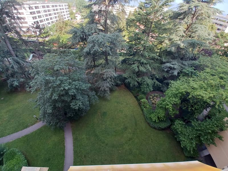 A well-maintained garden with lush green trees, neatly trimmed hedges, a small pathway, and a playground area with a slide visible in the distance.