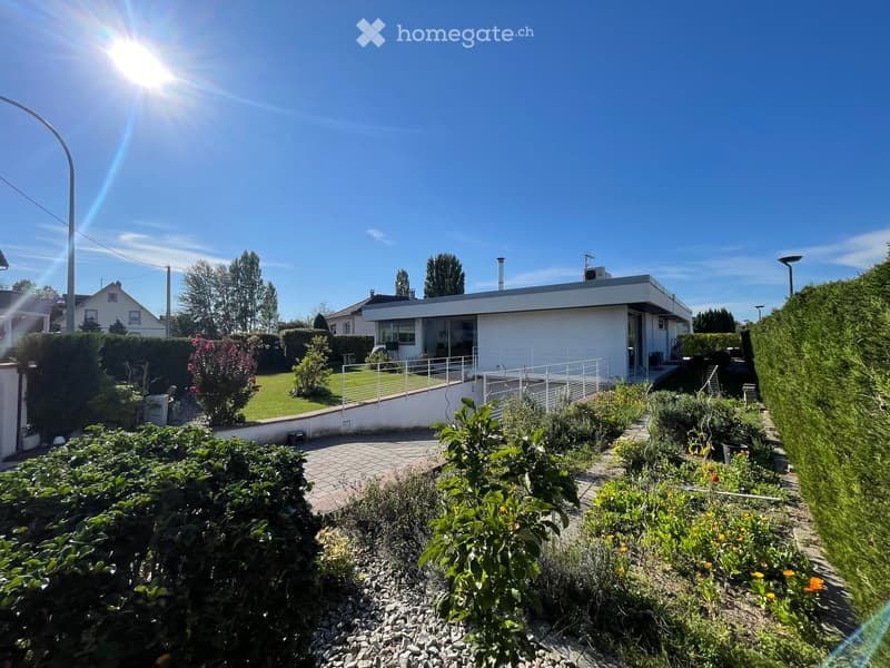 A modern single-story house with a raised ground floor, surrounded by a well-maintained garden with various plants, shrubs, and a paved pathway leading to the entrance.