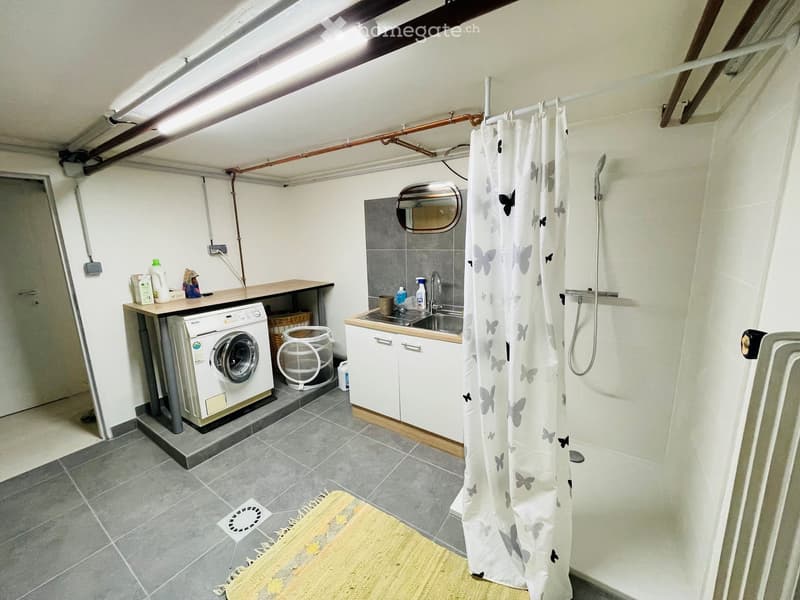 Functional bathroom with a washing machine, sink, mirror, and shower area. Includes a small table with cleaning supplies and a shower curtain with butterfly designs.