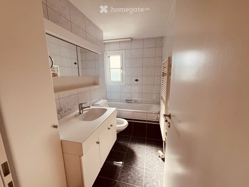 Helle 3½-Zimmer-Wohnung mit privatem Wellness-Bereich in Oetwil an der Limmat (9)