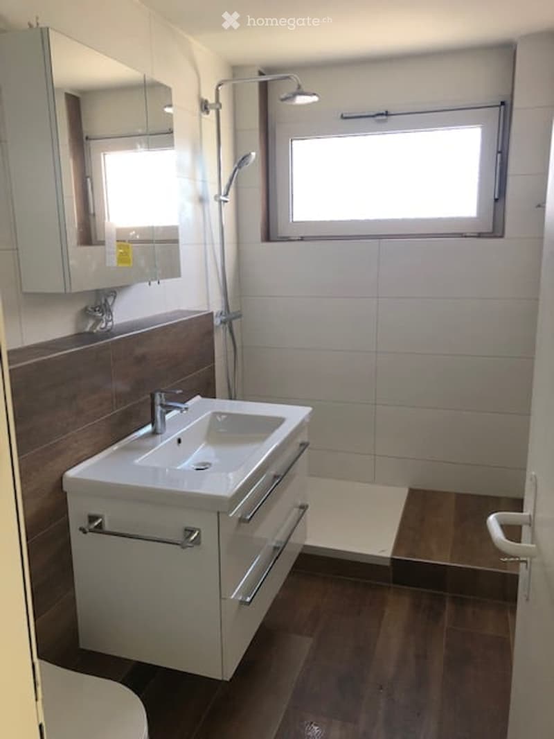 Modern bathroom with a white sink, mirrored cabinet, and a shower area. The walls are tiled, and the floor is wooden.