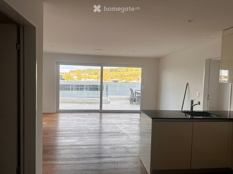 kitchen with wooden floor, large glass door to balcony, modern kitchen with sink and faucet, white walls, white cabinets
