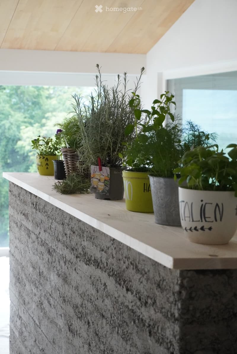 Balcony with wooden railing and potted plants, overlooking a green landscape.
