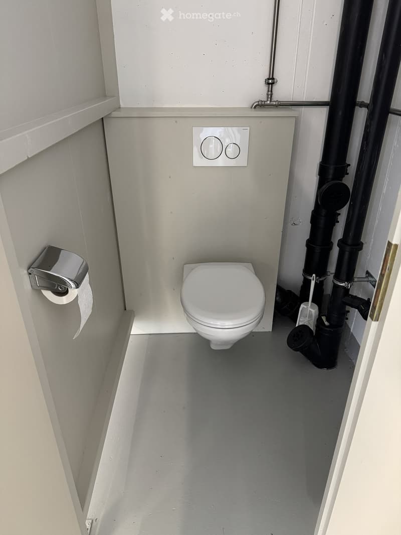 small bathroom with toilet, wall mounted toilet paper holder, and pipes