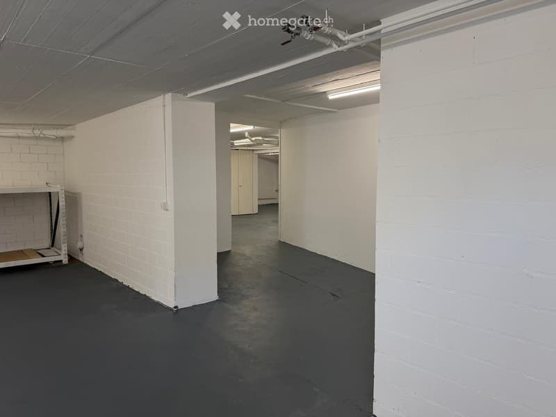 Empty room with white brick walls, dark grey concrete floor, and exposed pipes and lighting fixtures on the ceiling. Minimal furnishings include a small metal shelving unit against one wall.