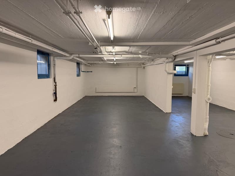 Empty basement space with concrete floor, white walls, exposed pipes, and minimal lighting.