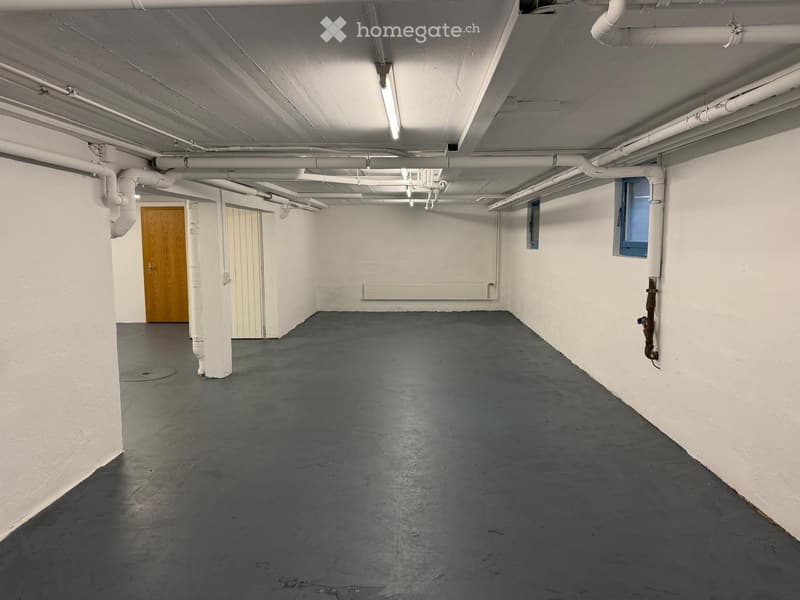Empty basement space with concrete floor, white walls, exposed pipes, and a wooden door.