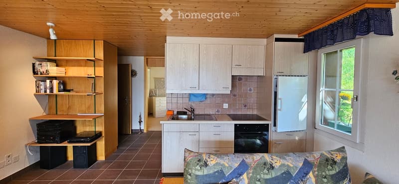 Cozy kitchen and living area with wooden cabinets, a sofa, shelves with books, and a laptop on a counter.