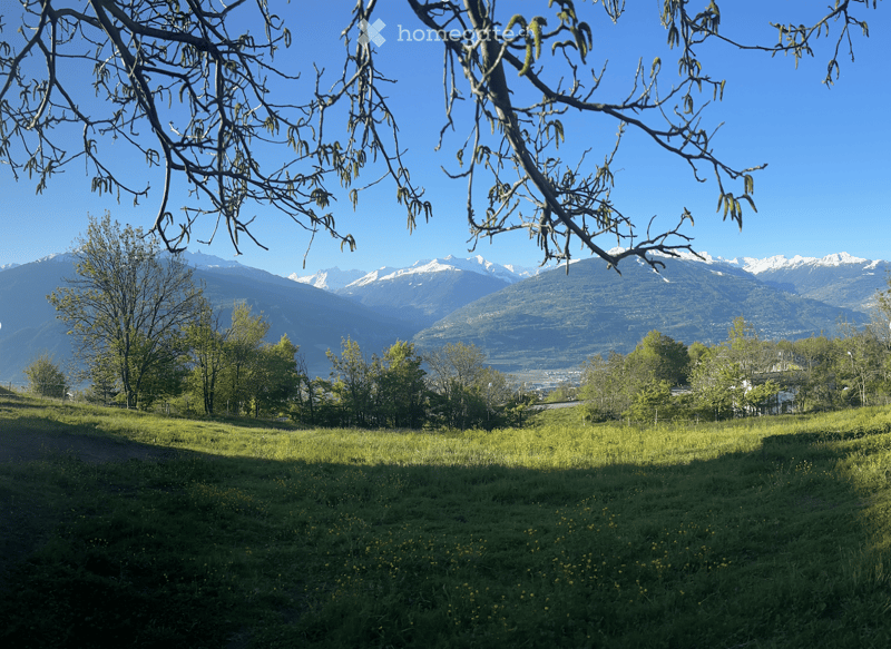A scenic outdoor view with a grassy field dotted with yellow flowers, surrounded by trees and distant snow-capped mountains under a clear blue sky.