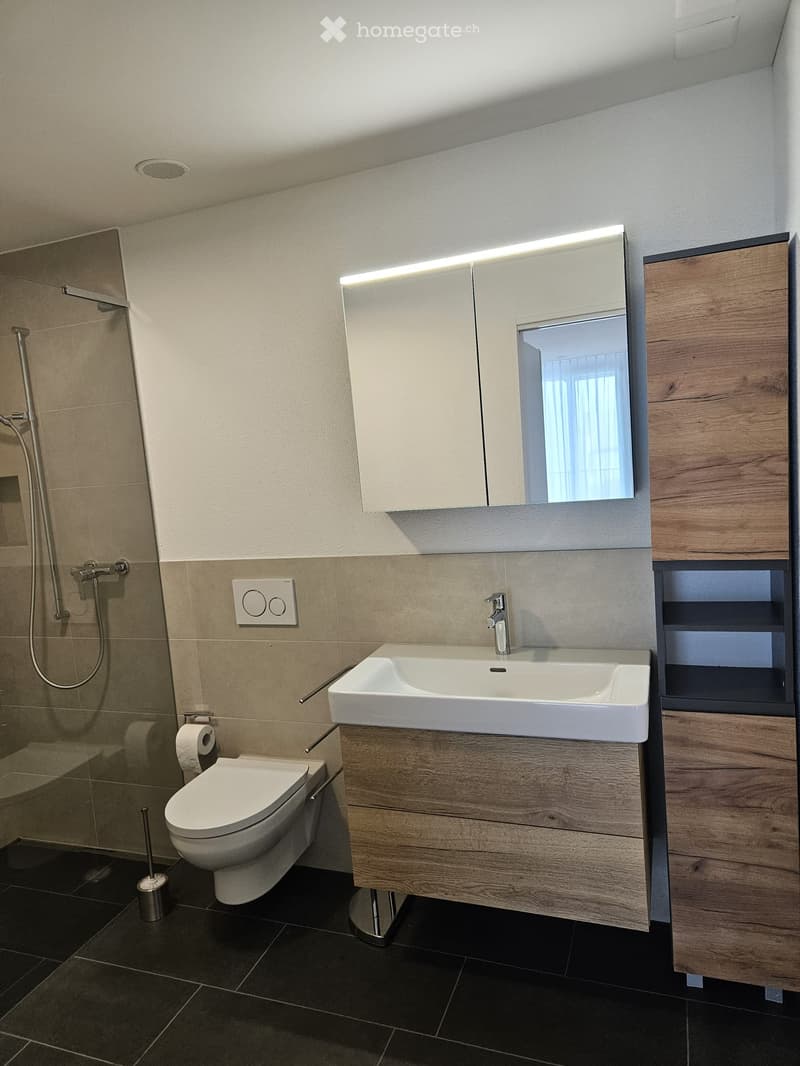 Bathroom. Modern bathroom with a white sink, wooden cabinet, large mirror, toilet, and glass-enclosed shower area.