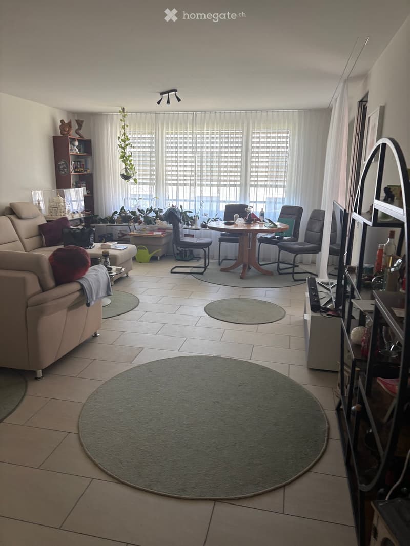 A well-lit living room with a beige sofa, a wooden dining table with chairs, a shelf with decorative items, a large mirror, and a TV screen. The room features multiple rugs and several potted plants, creating a cozy and inviting atmosphere.
