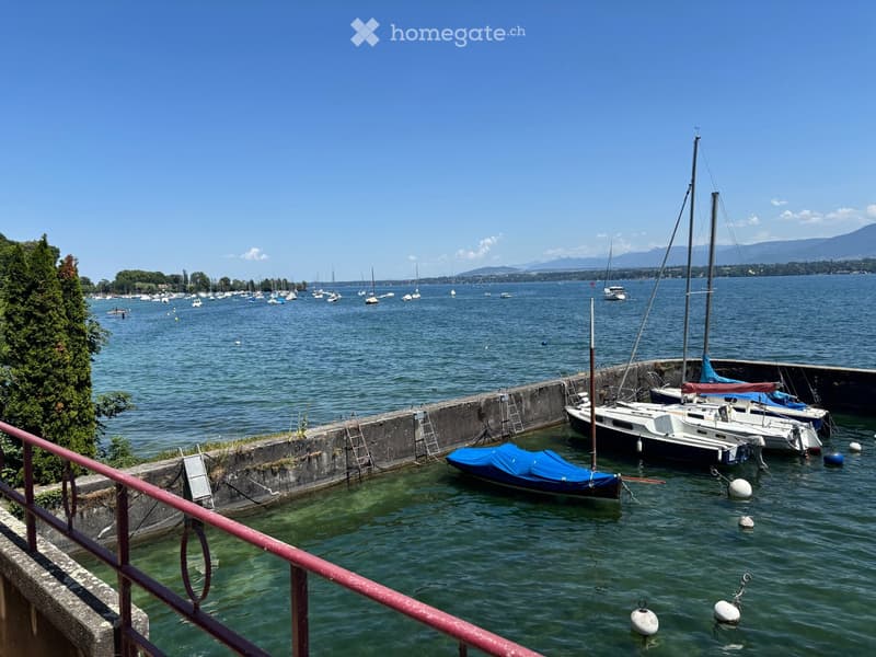 A serene lakeside scene with several sailboats and motorboats docked in calm water, surrounded by a clear blue sky and distant mountains.