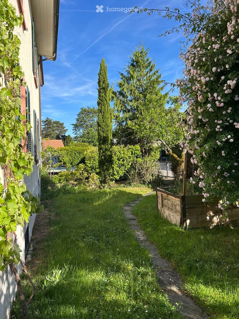 A narrow garden path lined with grass and trees leads to a wooden planter box with blooming flowers. The area is surrounded by lush greenery and a house with a vine-covered wall on the left.