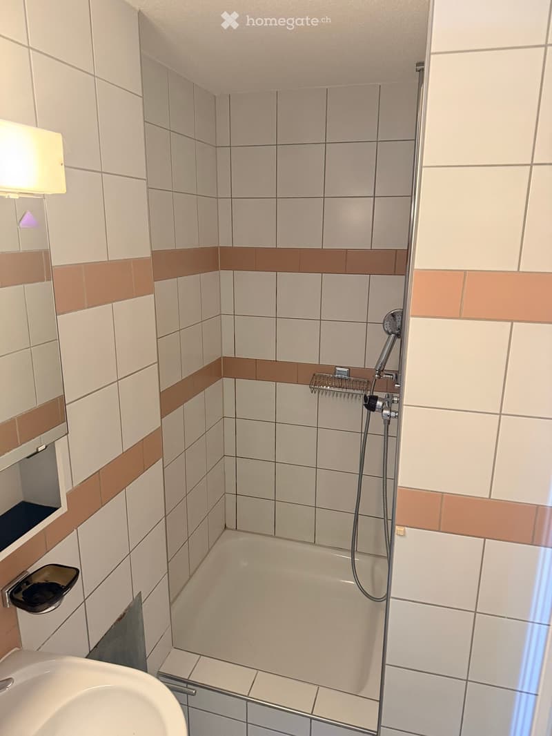 Modern bathroom with white tiled walls, a bathtub, a showerhead, a sink, and a mirror. The tiles feature a brown accent border.