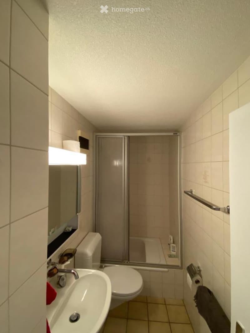 Modern bathroom with a white sink, toilet, mirror, and a glass-enclosed shower. Features a towel rack and a light fixture above the mirror.